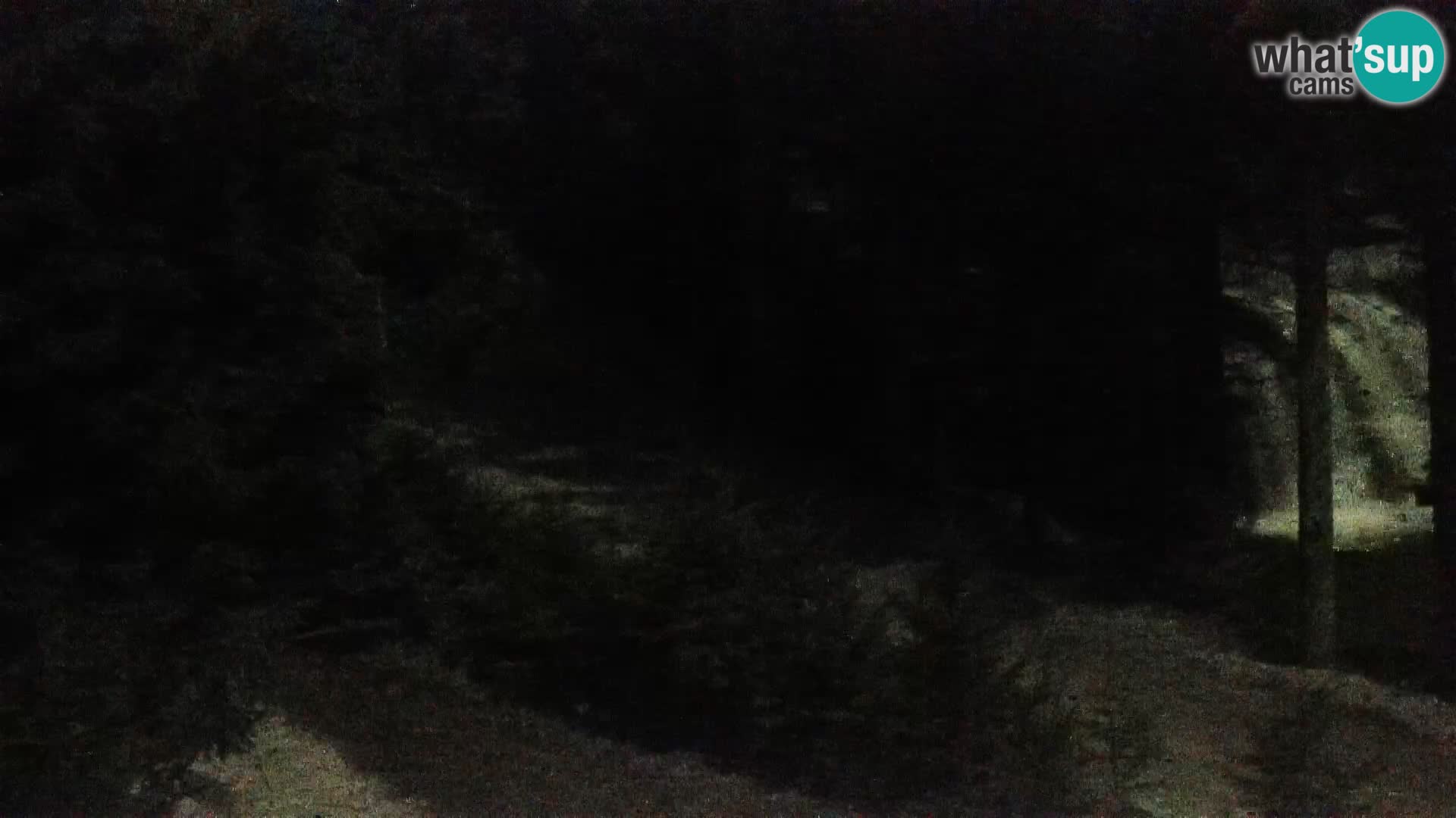 Webcam Rogla Wohnungen Dandi – Jurgovo