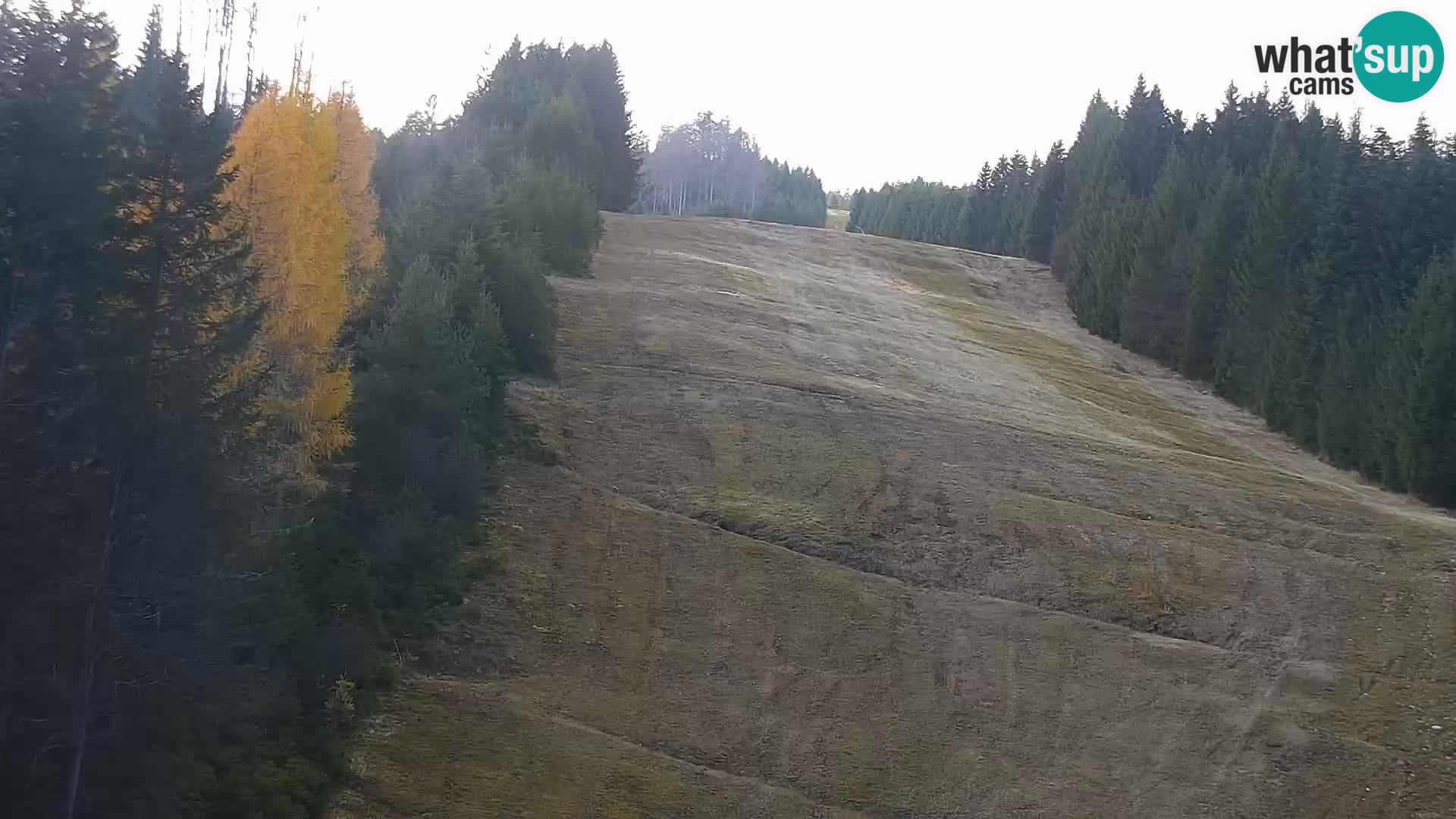 Camera en vivo Rogla appartamentos Dandi – Jurgovo