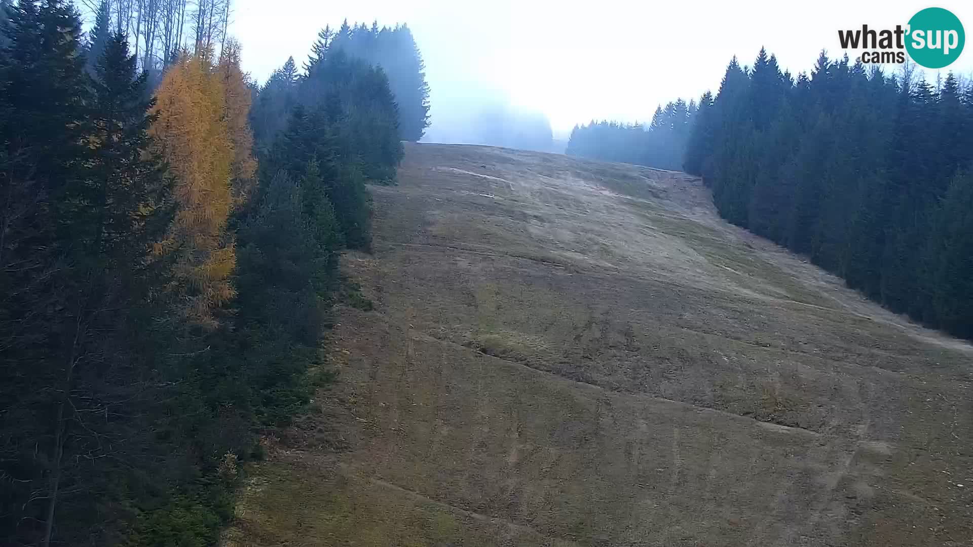 Spletna kamera Rogla apartmaji Dandi – Jurgovo