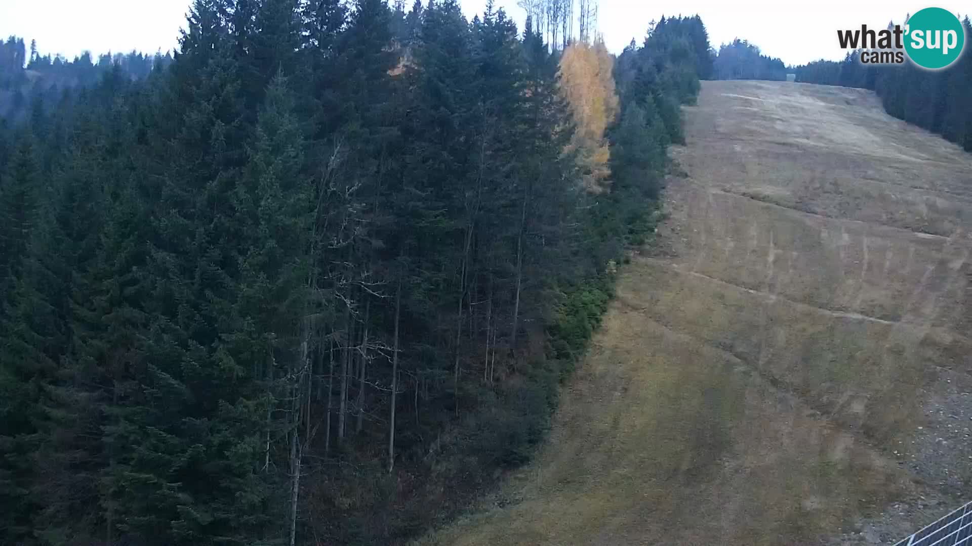 Camera en vivo Rogla appartamentos Dandi – Jurgovo