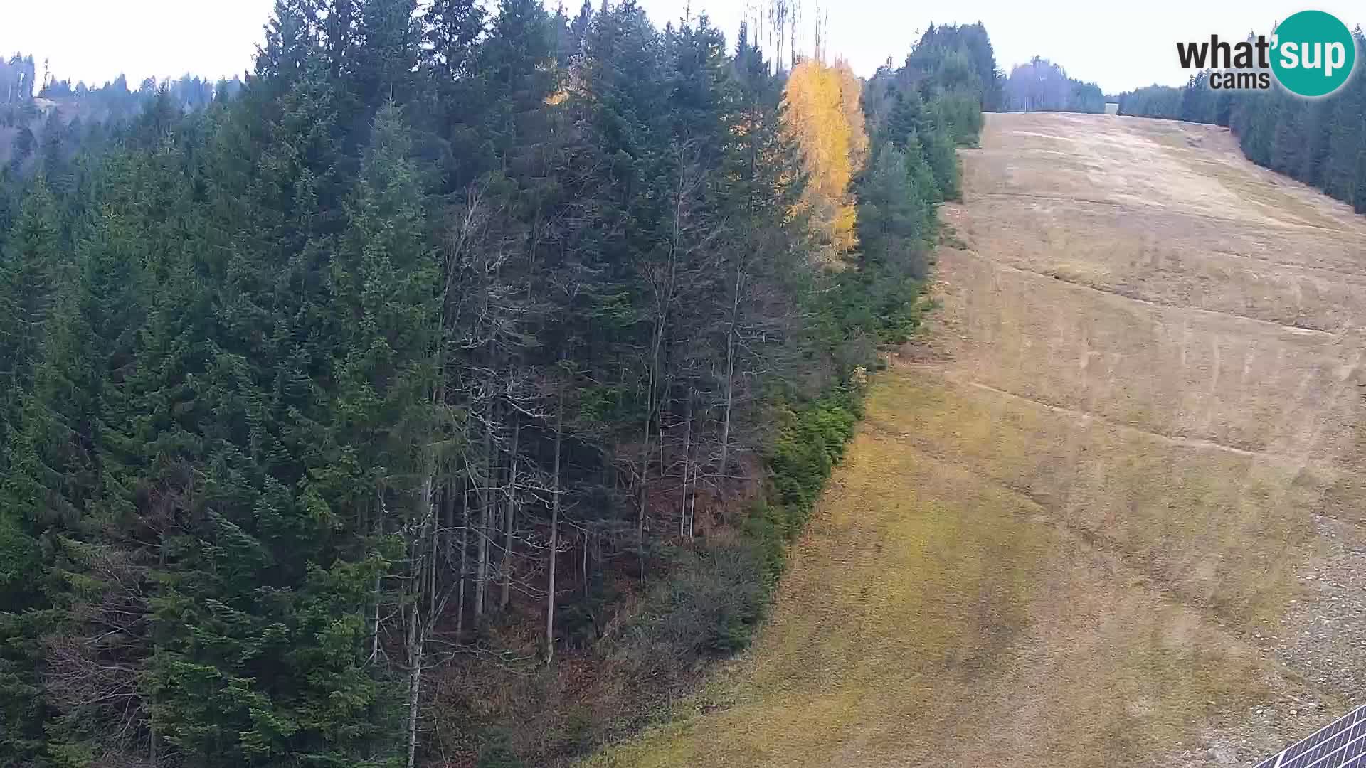 Webcam Rogla Wohnungen Dandi – Jurgovo