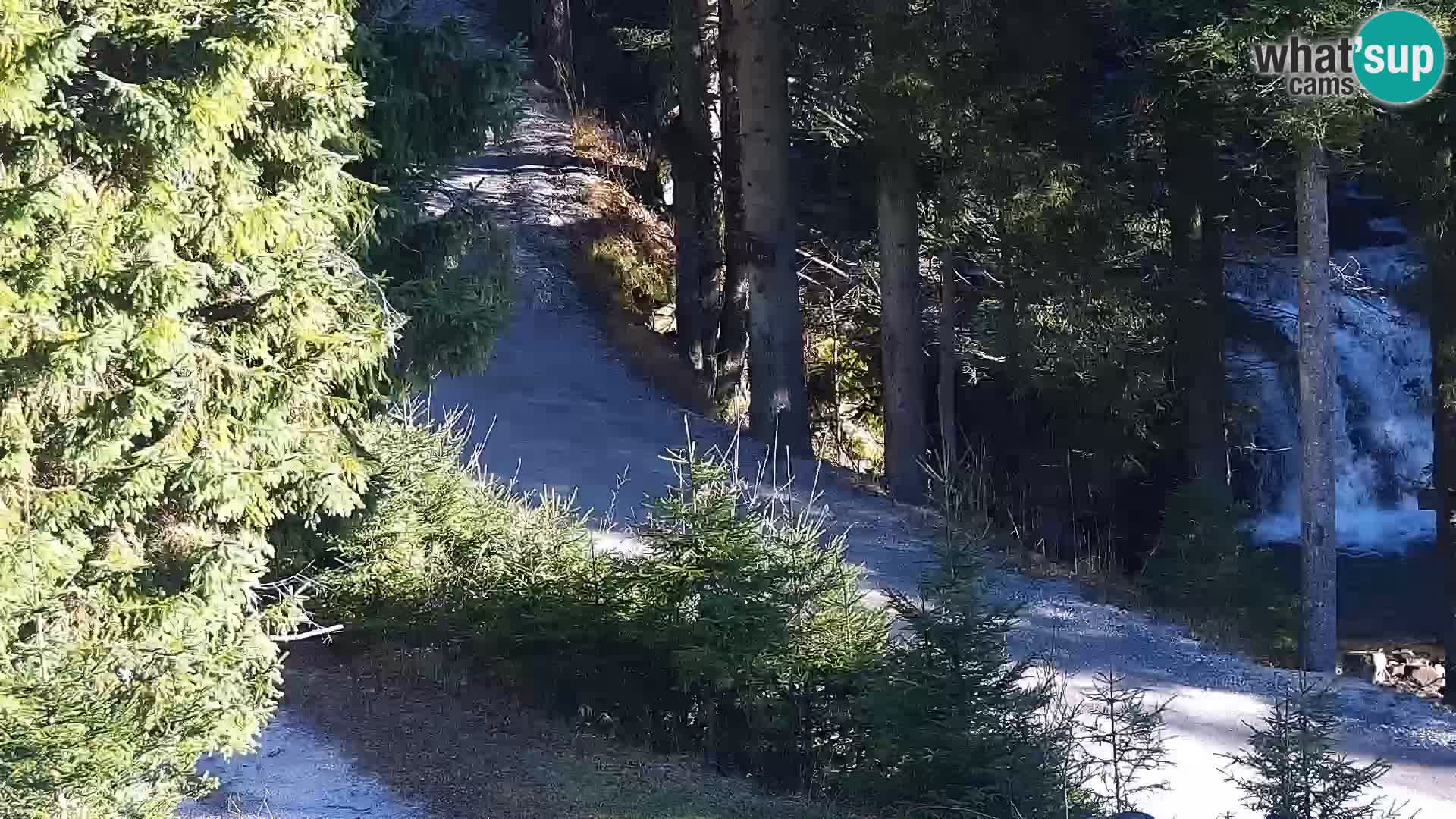 Spletna kamera Rogla apartmaji Dandi – Jurgovo