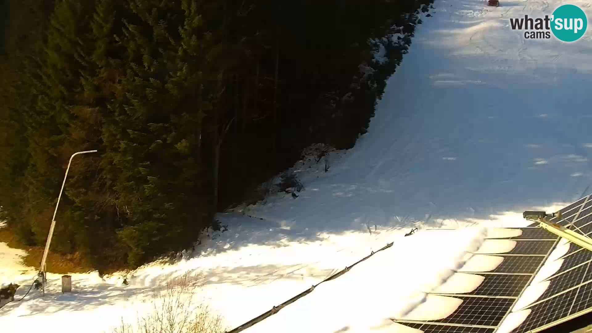 Spletna kamera Rogla apartmaji Dandi – Jurgovo