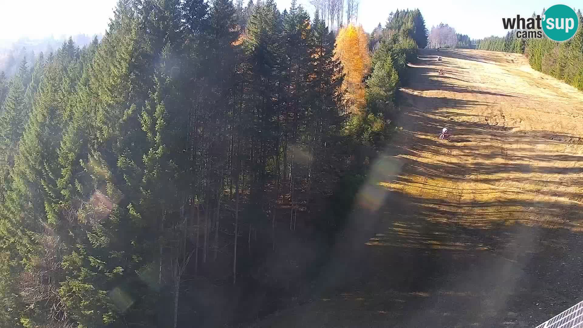 Live Rogla appartements Dandi – Jurgovo