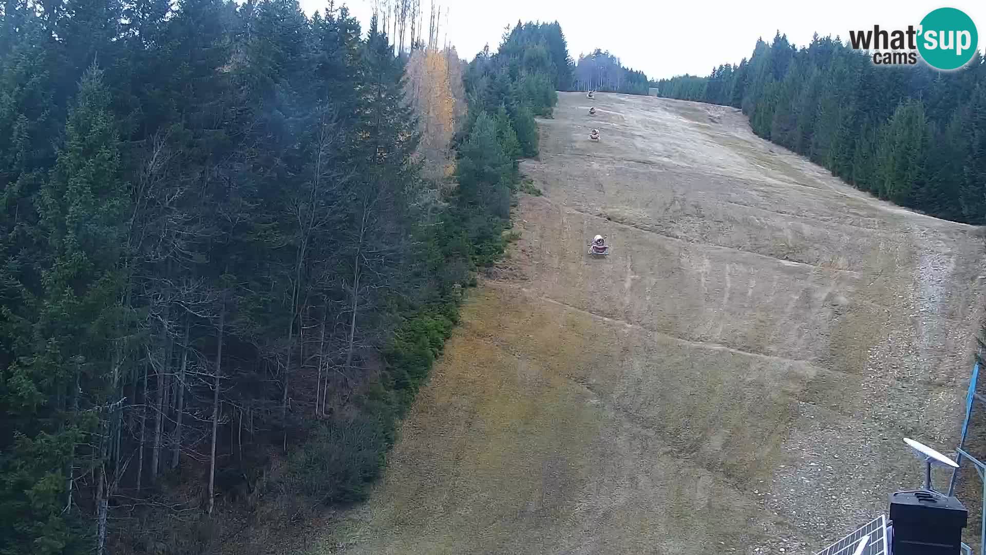 Spletna kamera Rogla apartmaji Dandi – Jurgovo