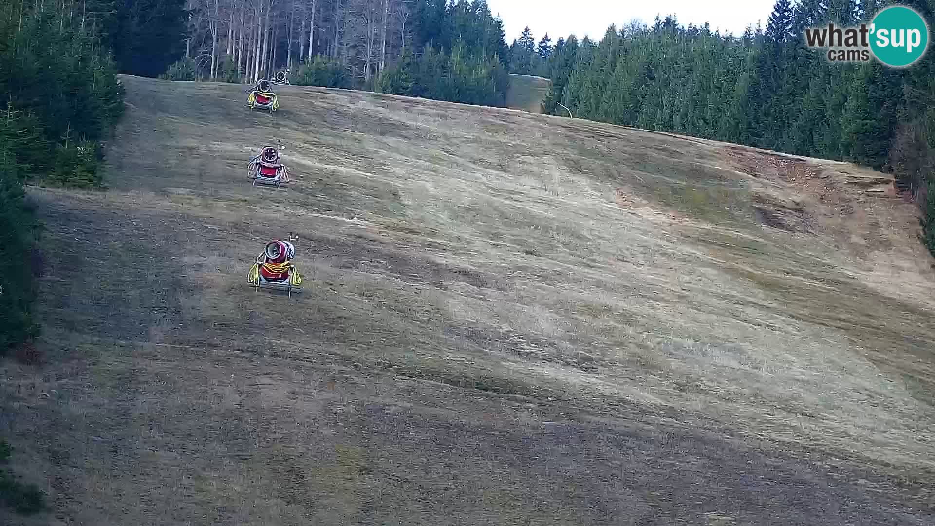 Webcam Rogla Wohnungen Dandi – Jurgovo