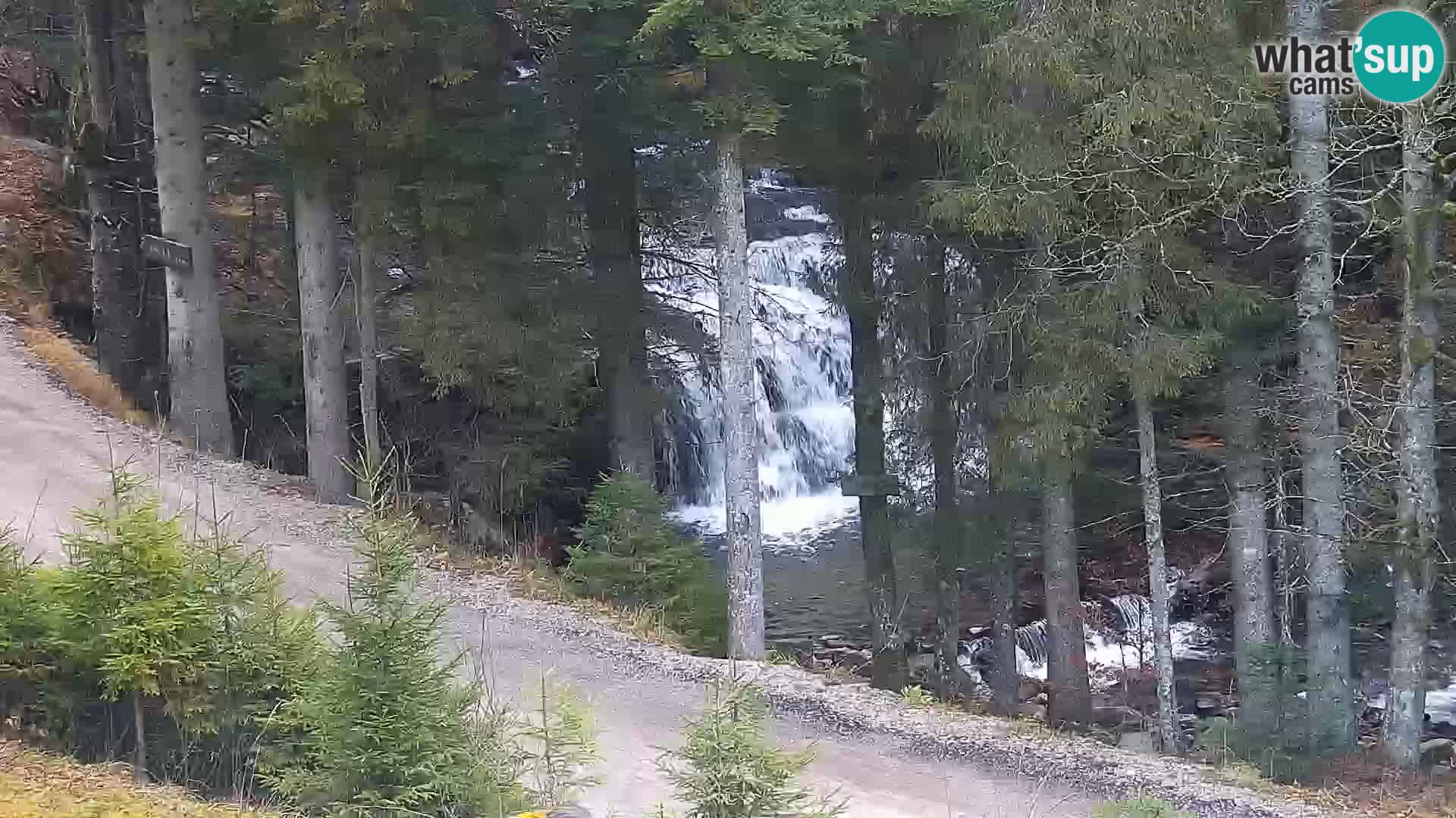 Camera en vivo Rogla appartamentos Dandi – Jurgovo