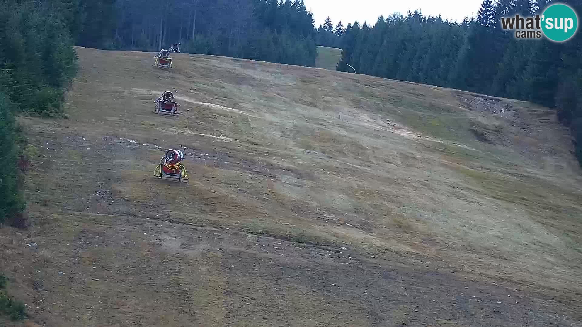 Live Rogla appartements Dandi – Jurgovo