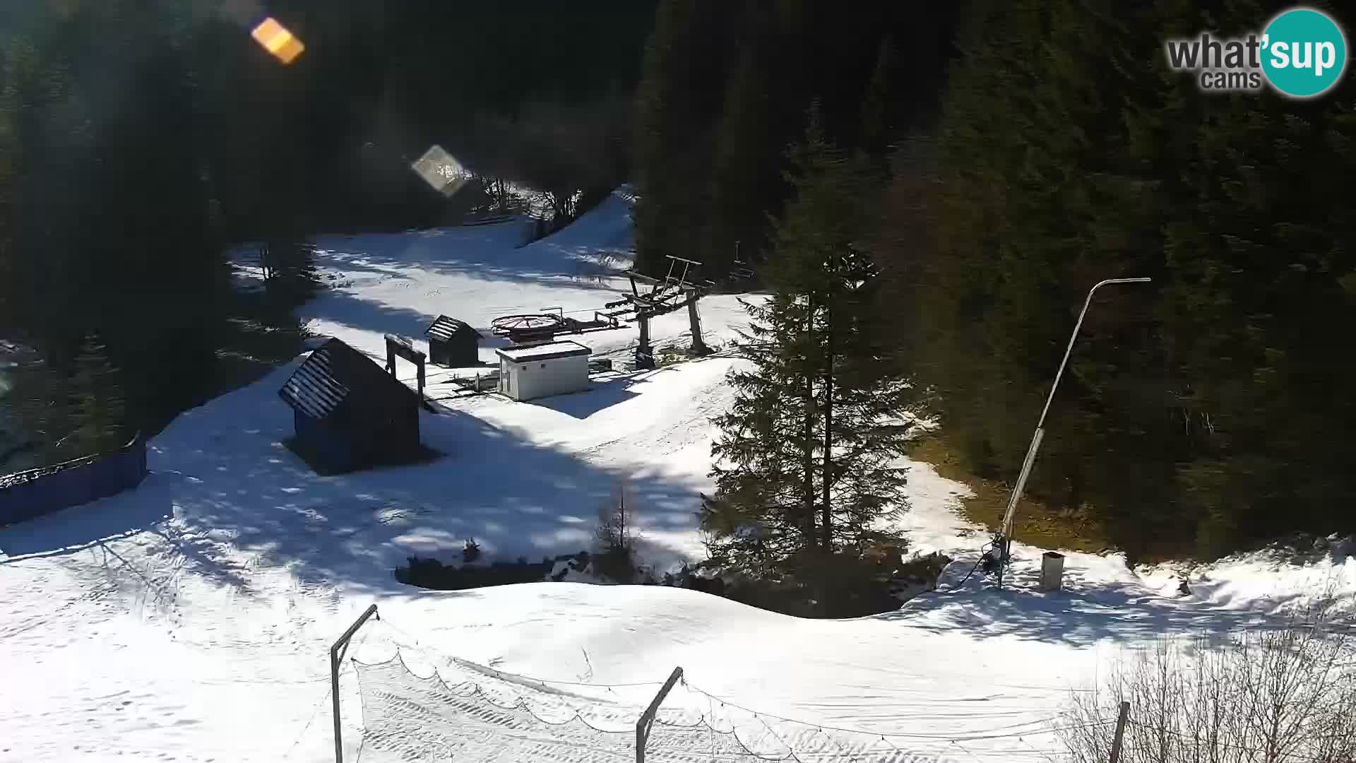 Live Rogla appartements Dandi – Jurgovo