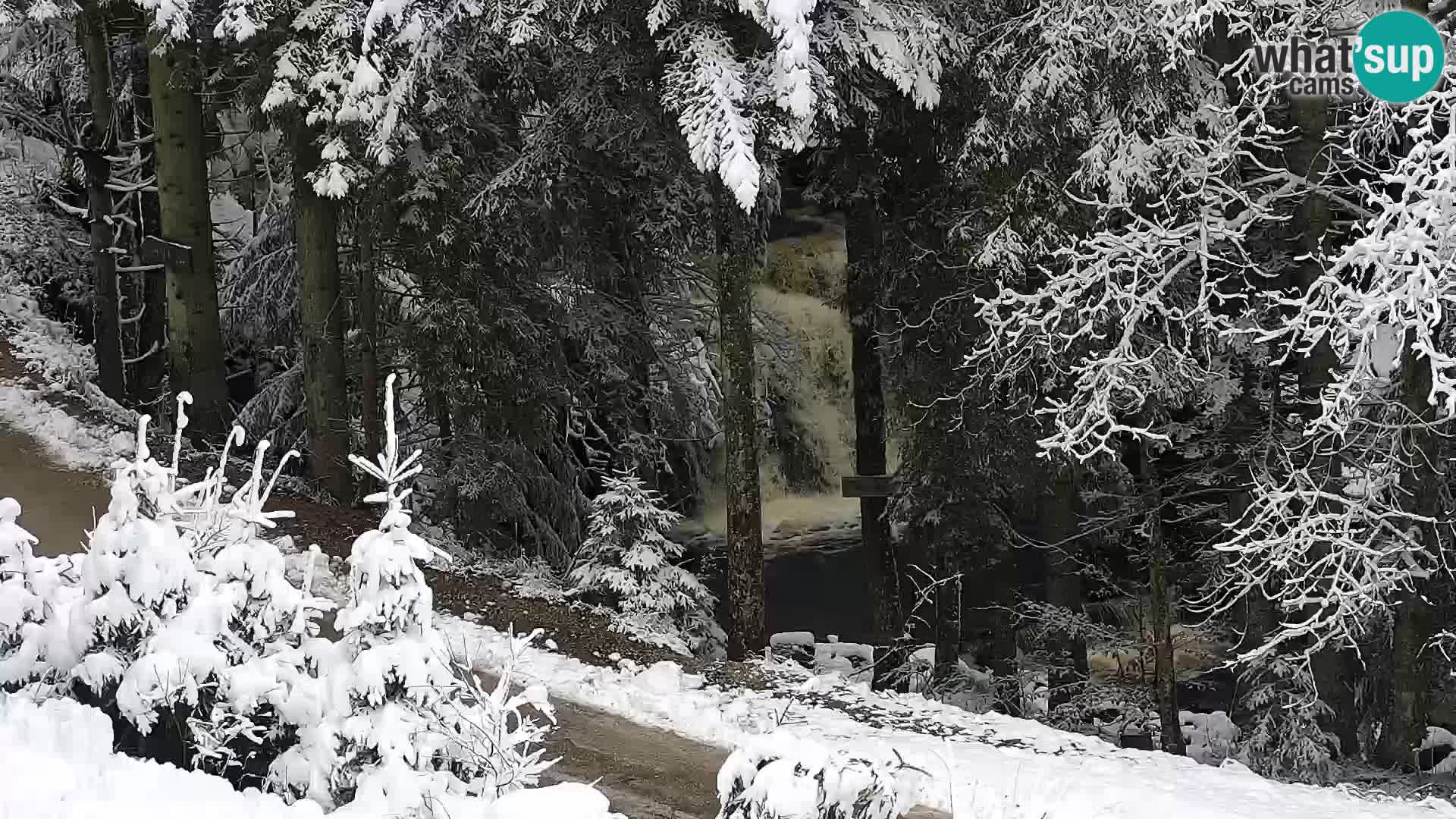 Live Rogla appartements Dandi – Jurgovo