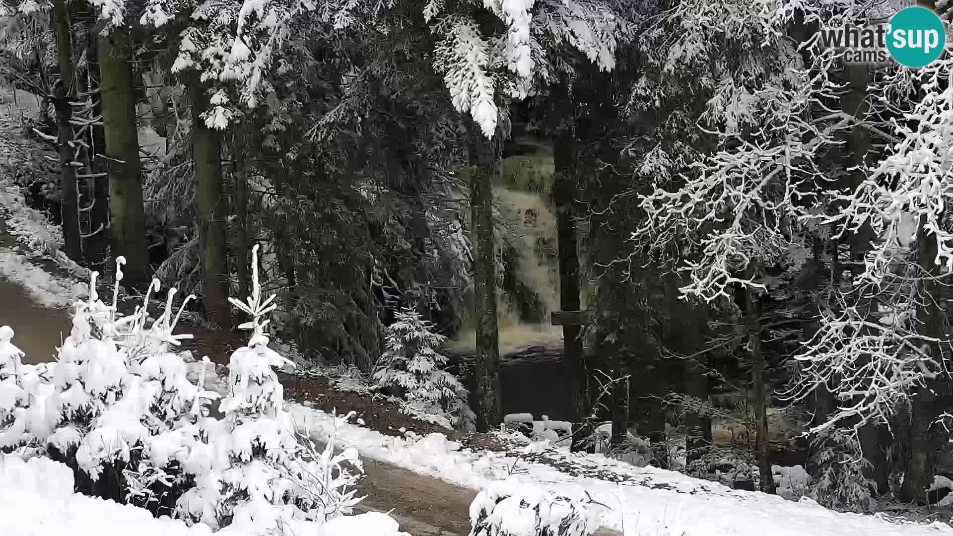 Web kamera Rogla apartmani Dandi – Jurgovo