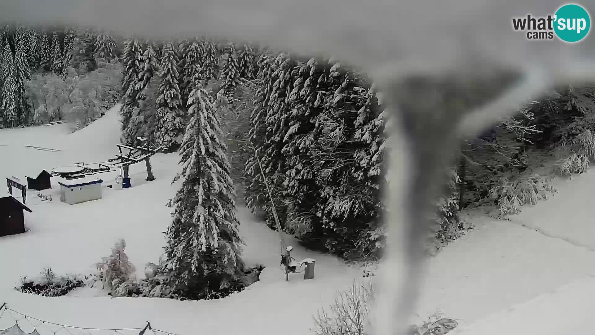 Webcam Rogla Wohnungen Dandi – Jurgovo