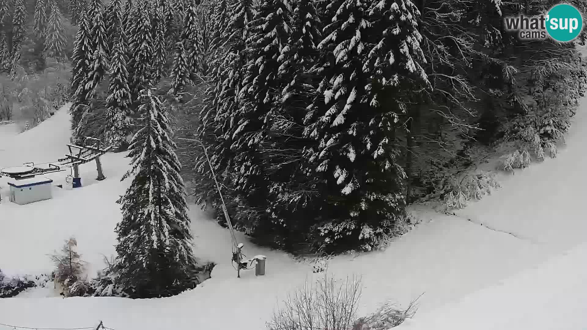 Webcam Rogla Wohnungen Dandi – Jurgovo