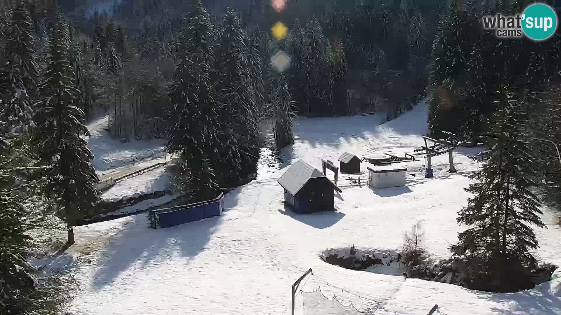 Livecam Rogla apartments Dandi – Jurgovo