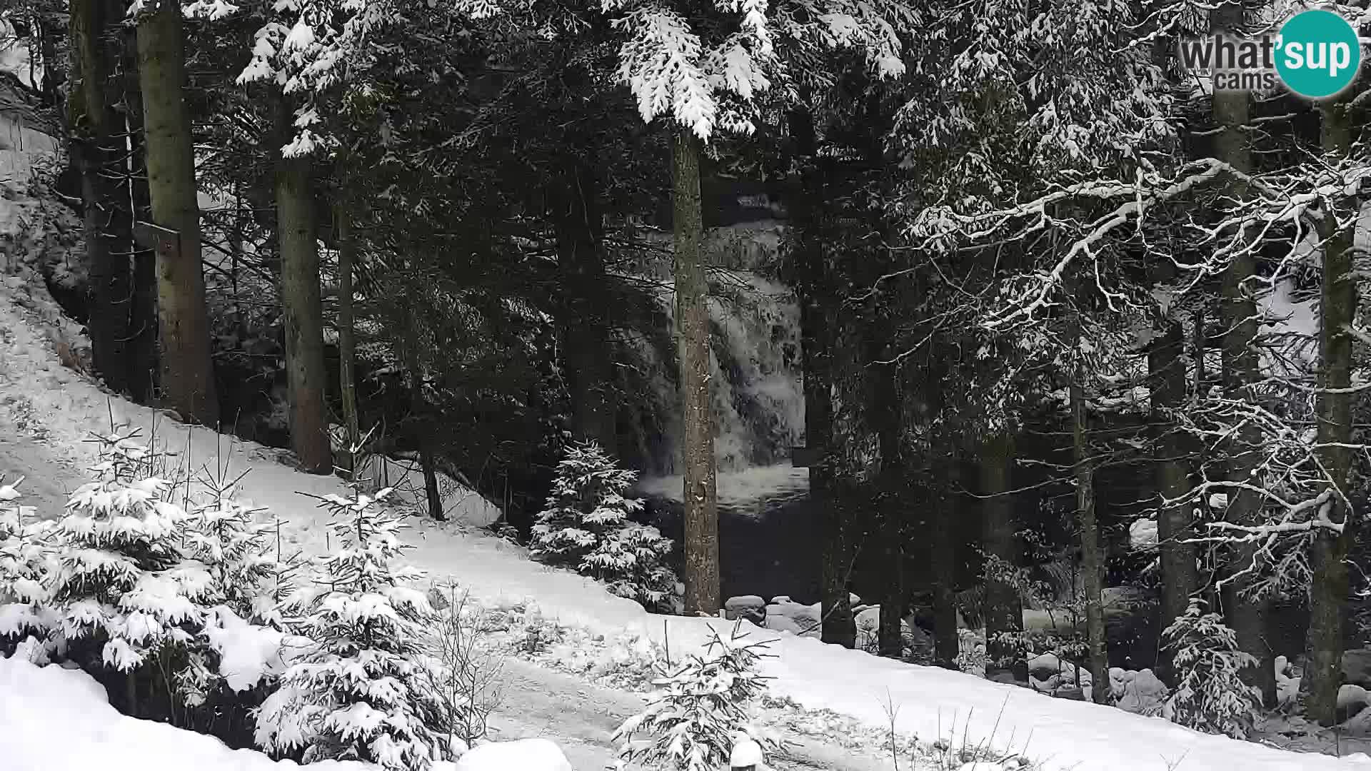 Livecam Rogla apartments Dandi – Jurgovo