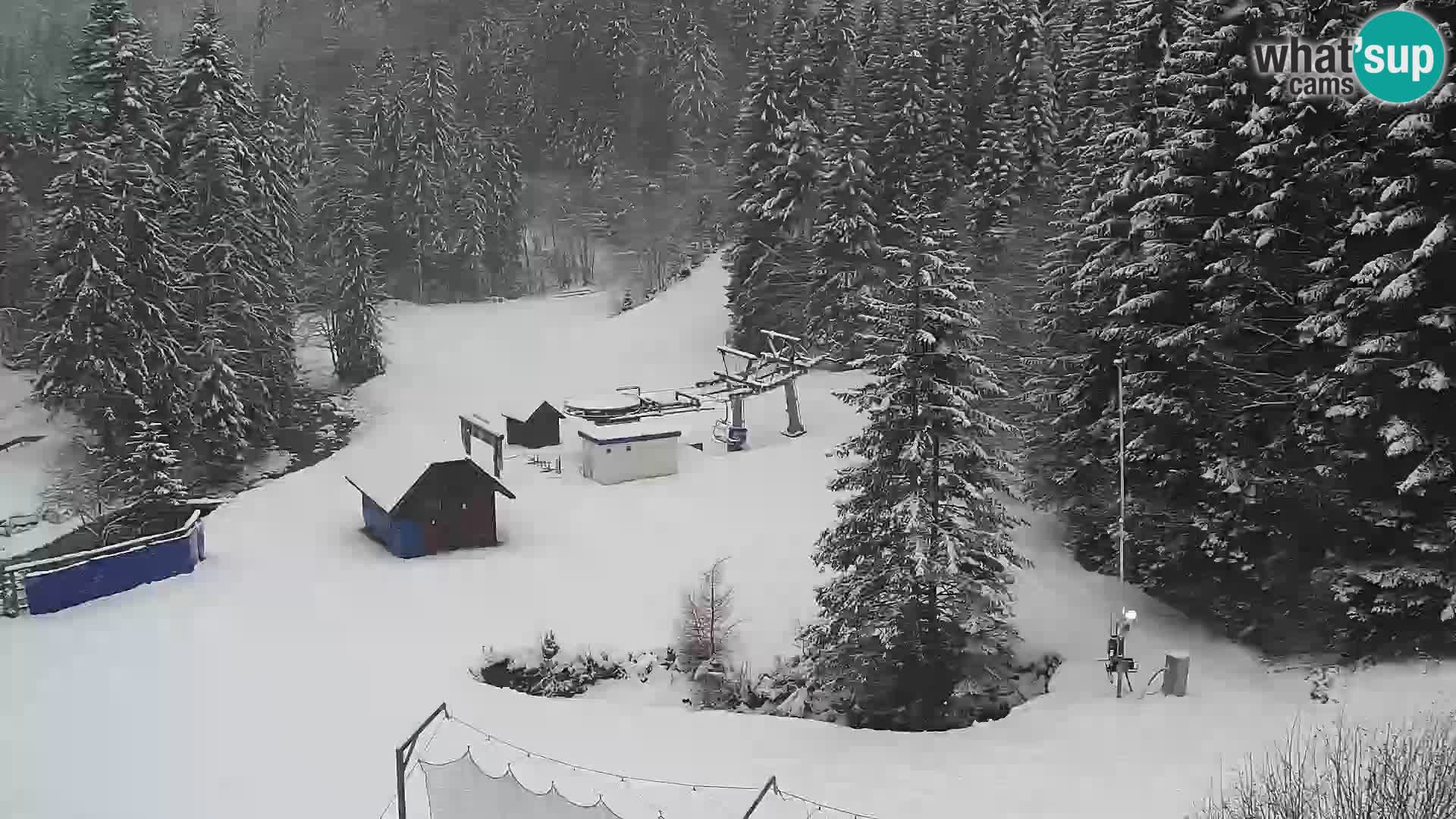 Live Rogla appartements Dandi – Jurgovo