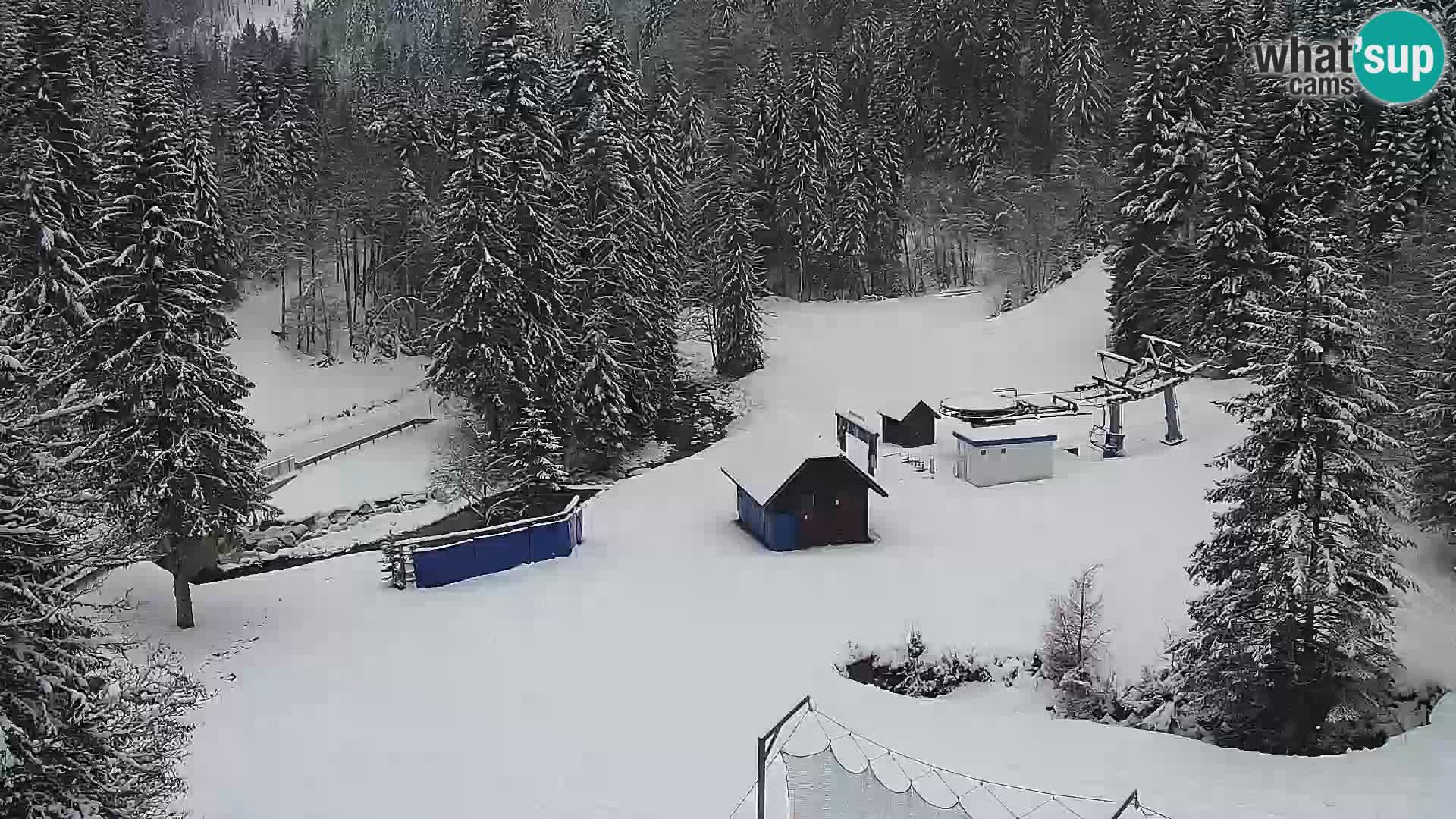 Live webcam Rogla appartamenti Dandi – Jurgovo