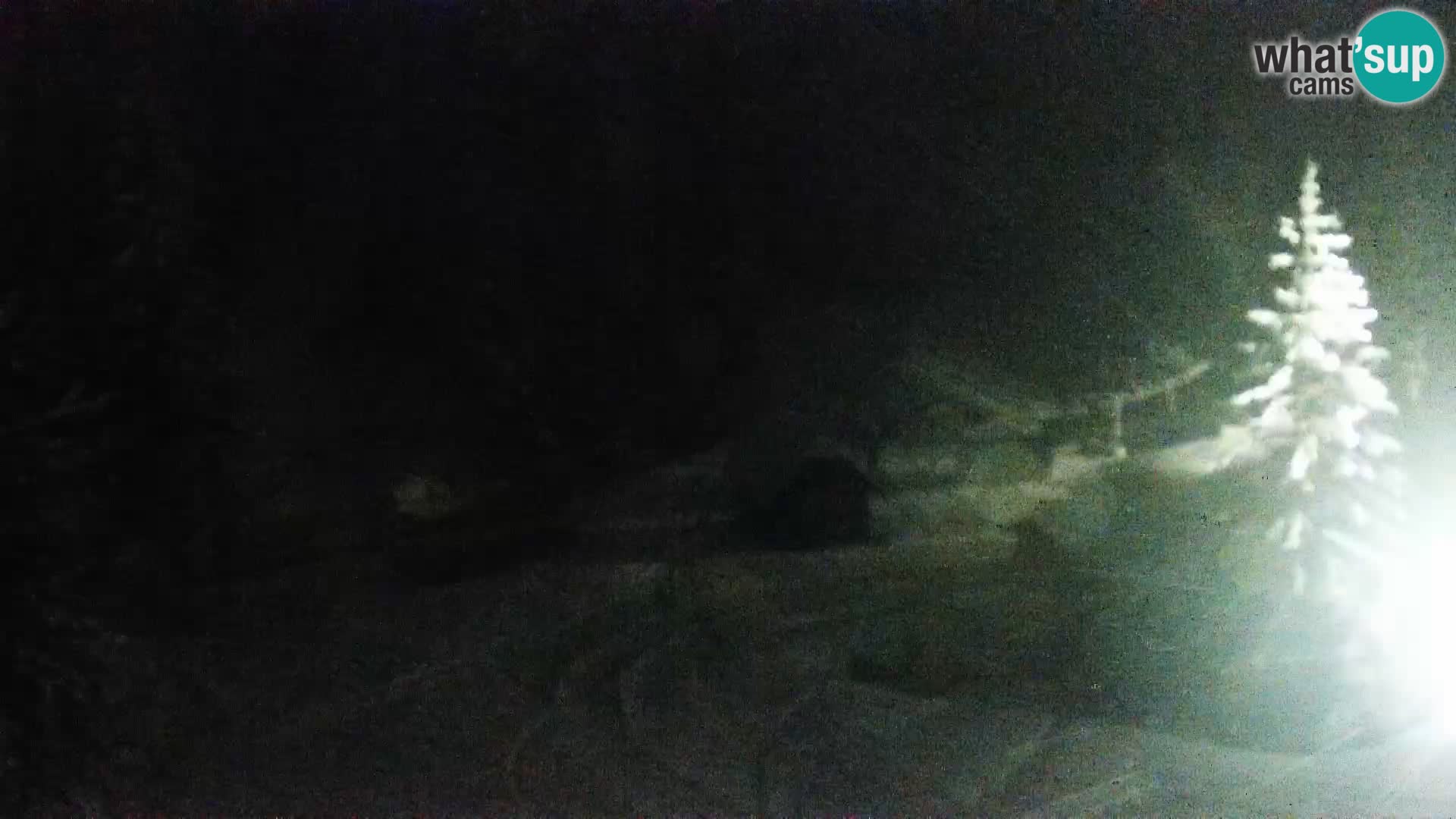 Livecam Rogla apartments Dandi – Jurgovo