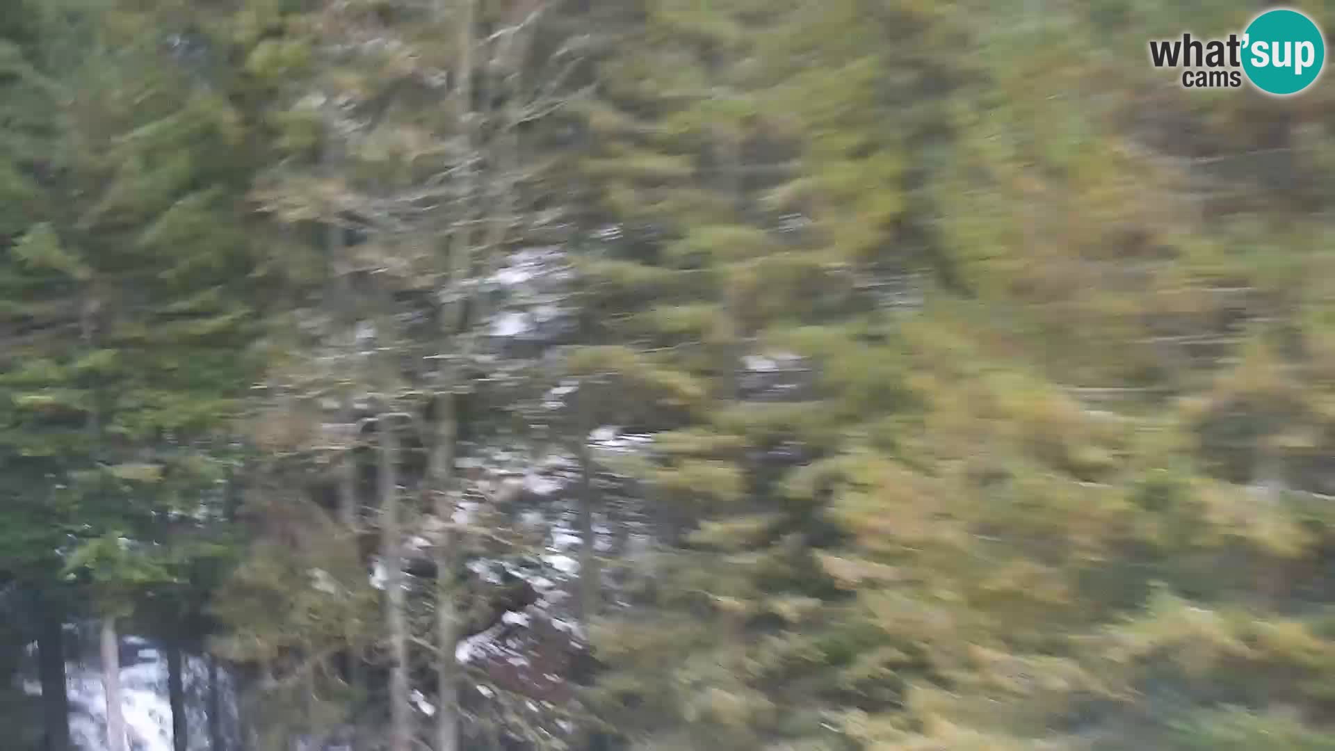 Live Rogla appartements Dandi – Jurgovo