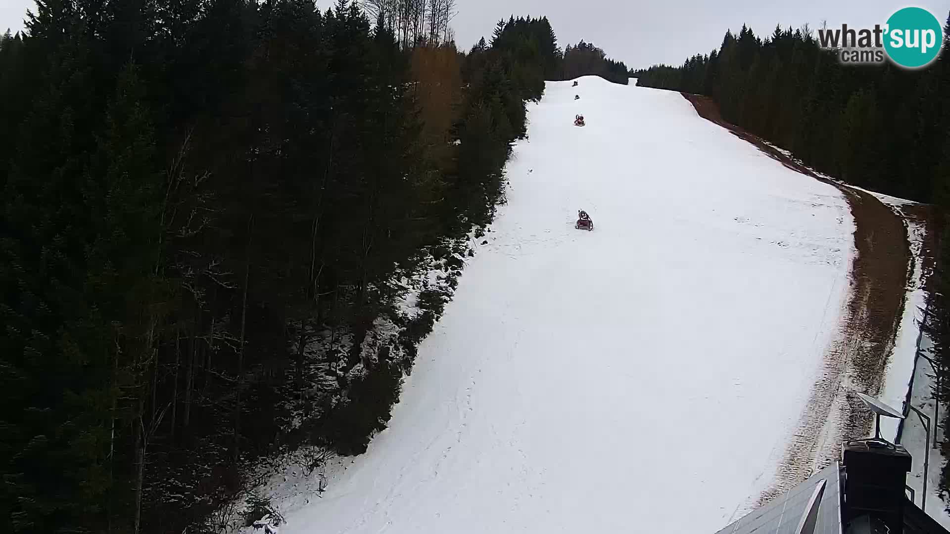 Camera en vivo Rogla appartamentos Dandi – Jurgovo