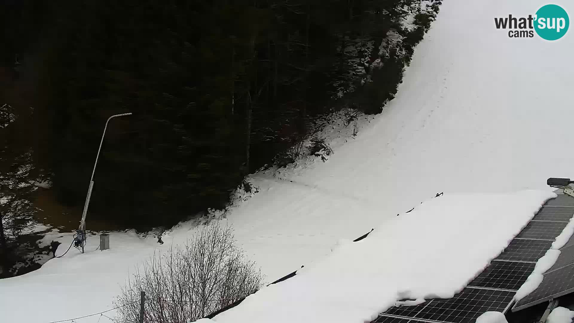 Spletna kamera Rogla apartmaji Dandi – Jurgovo