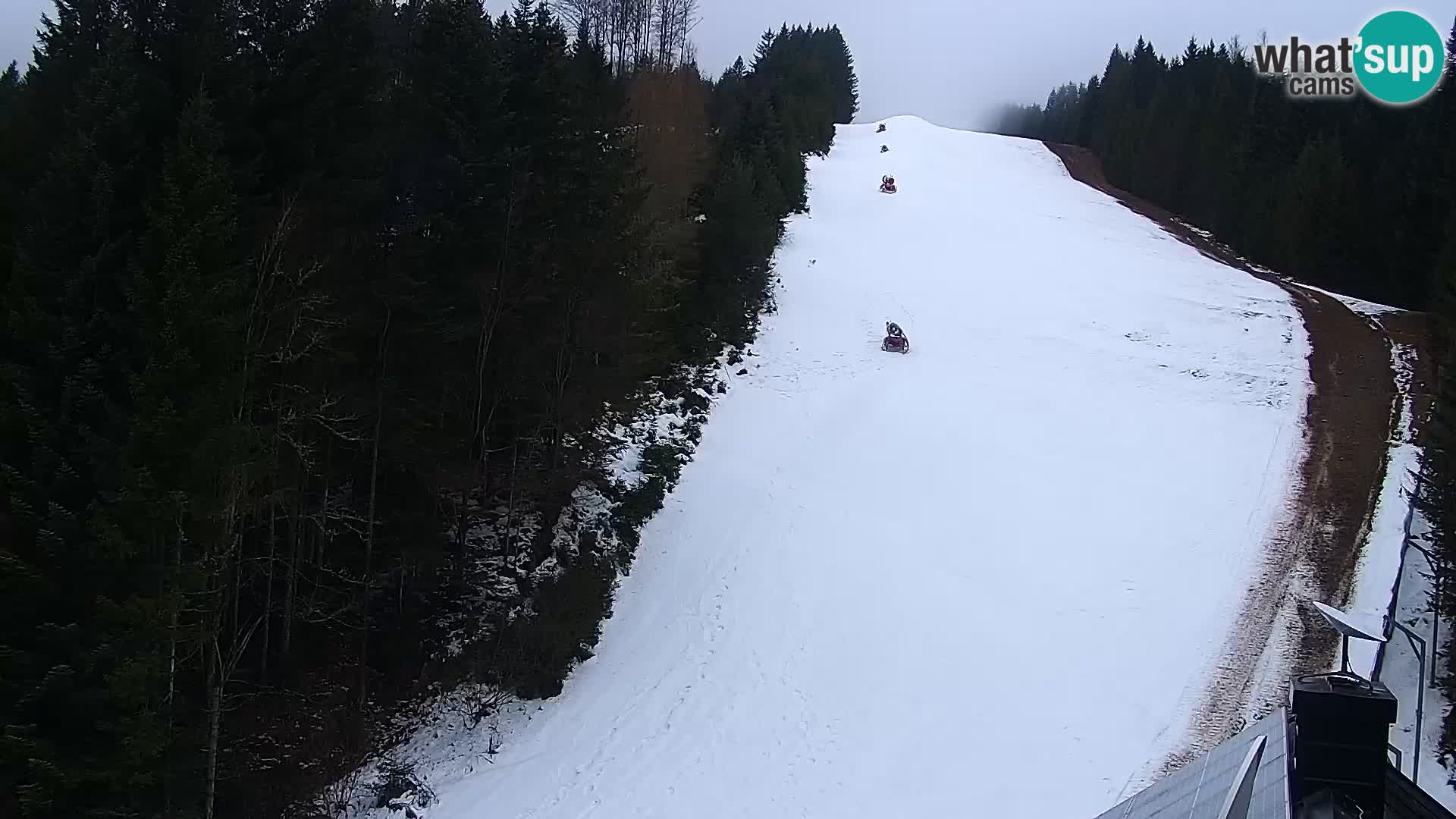 Live Rogla appartements Dandi – Jurgovo