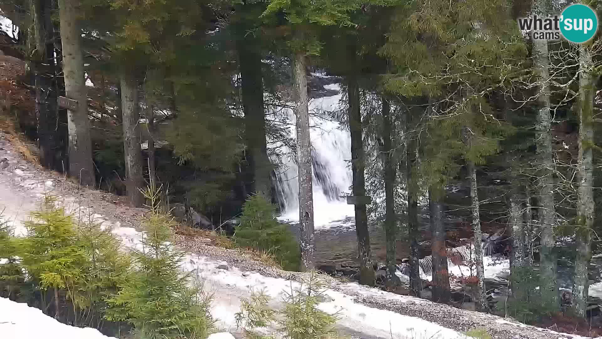 Web kamera Rogla apartmani Dandi – Jurgovo