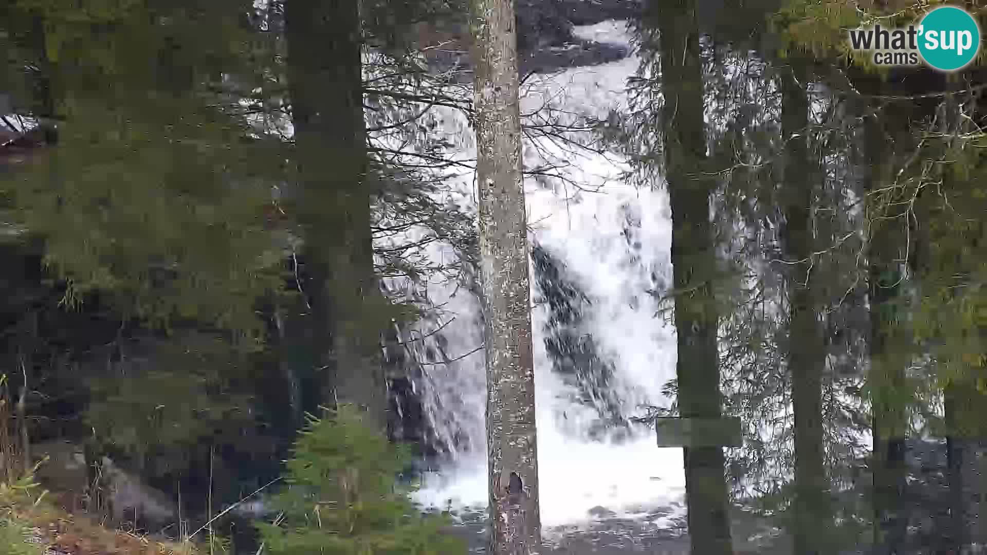 Web kamera Rogla apartmani Dandi – Jurgovo