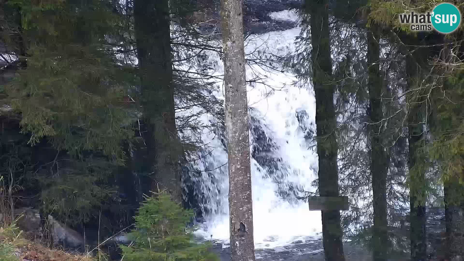 Webcam Rogla Wohnungen Dandi – Jurgovo