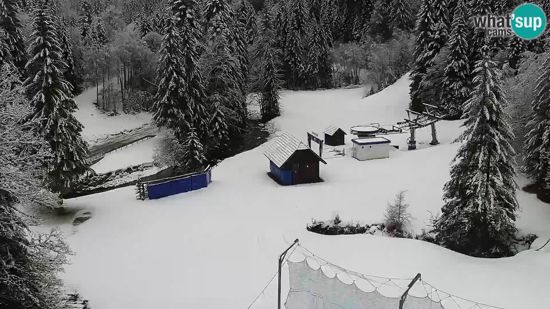 Webcam Rogla Wohnungen Dandi – Jurgovo