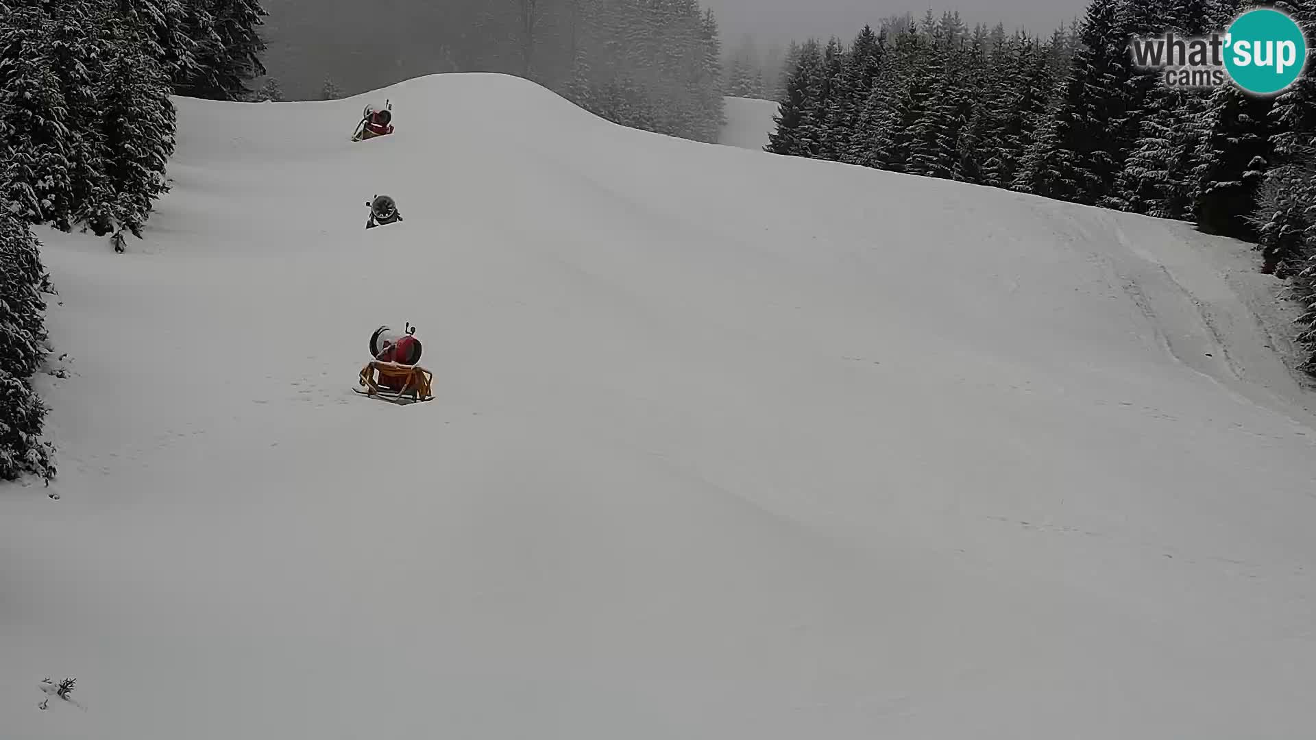 Live Rogla appartements Dandi – Jurgovo