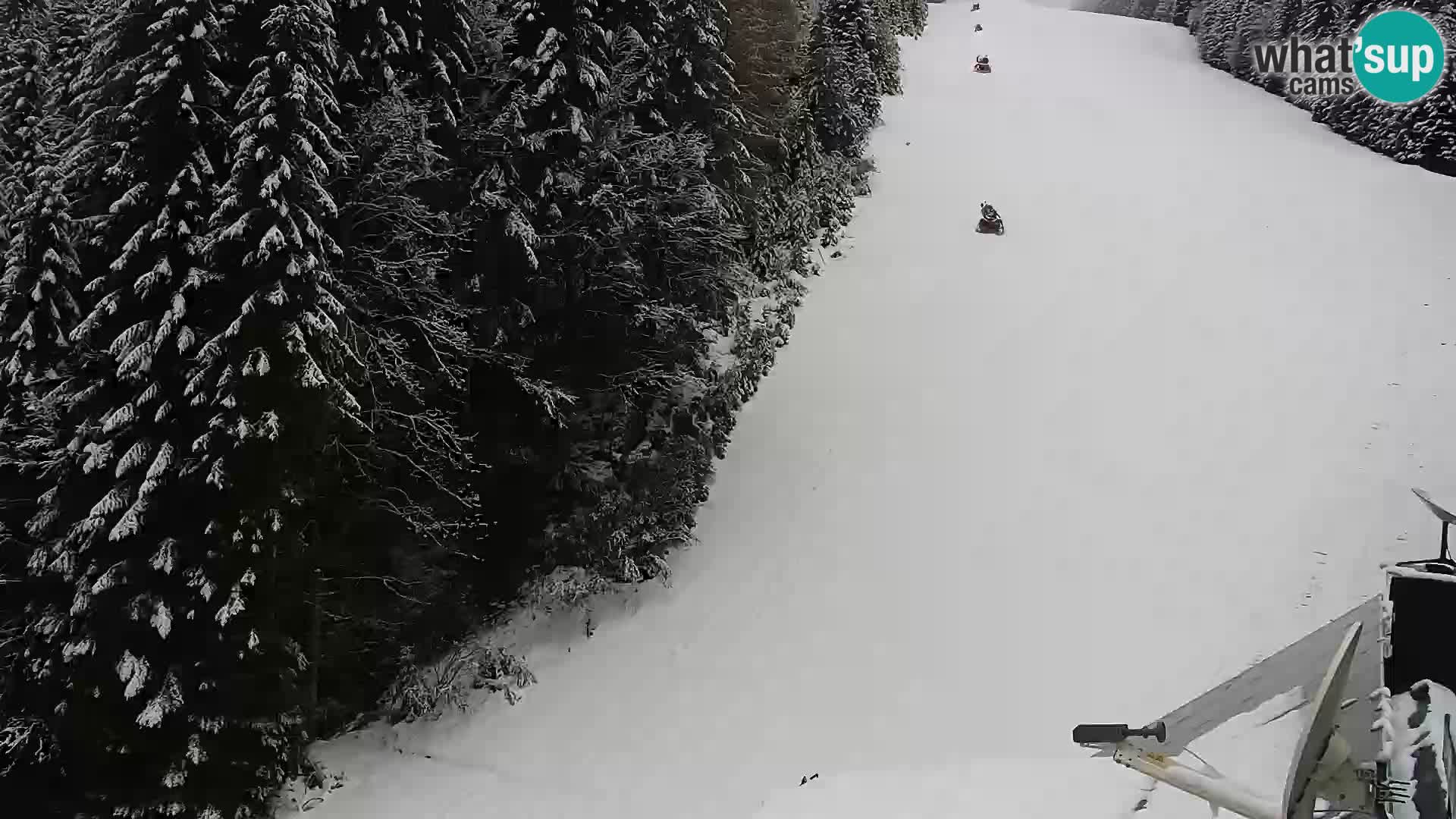 Webcam Rogla Wohnungen Dandi – Jurgovo