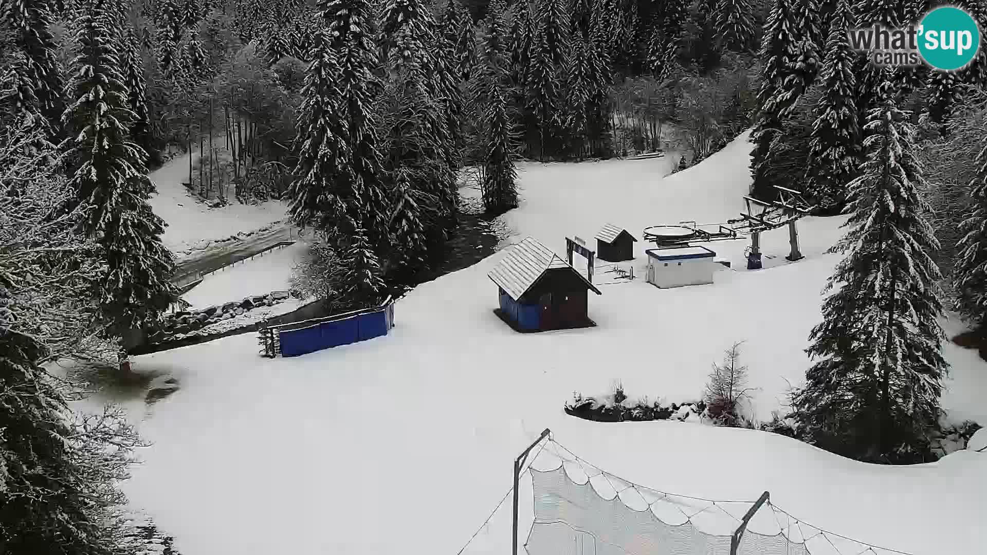 Webcam Rogla Wohnungen Dandi – Jurgovo