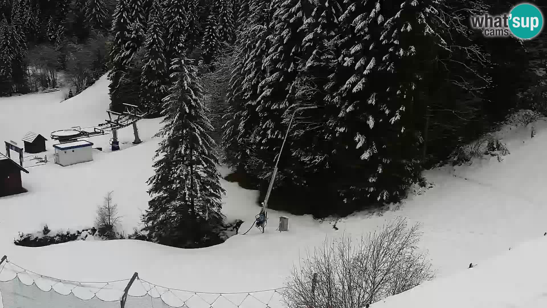 Spletna kamera Rogla apartmaji Dandi – Jurgovo