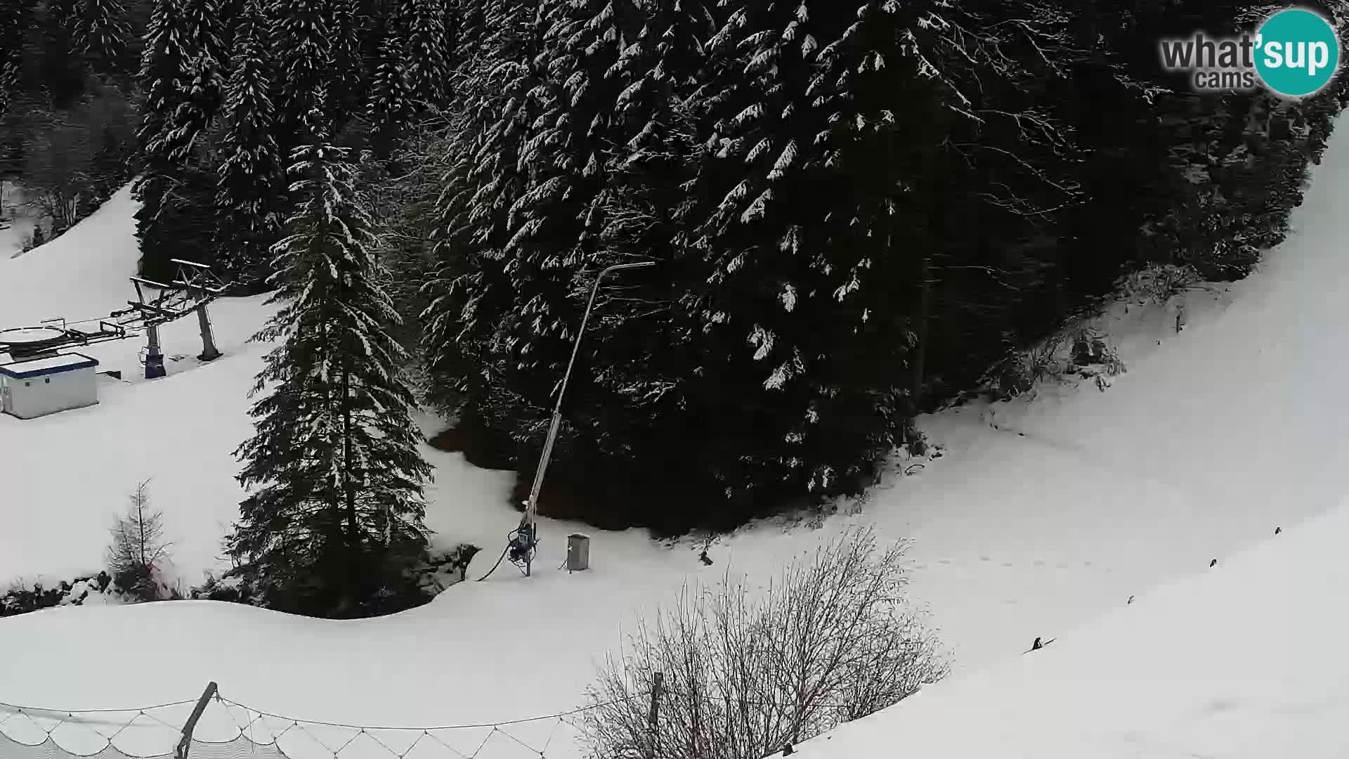 Live Rogla appartements Dandi – Jurgovo