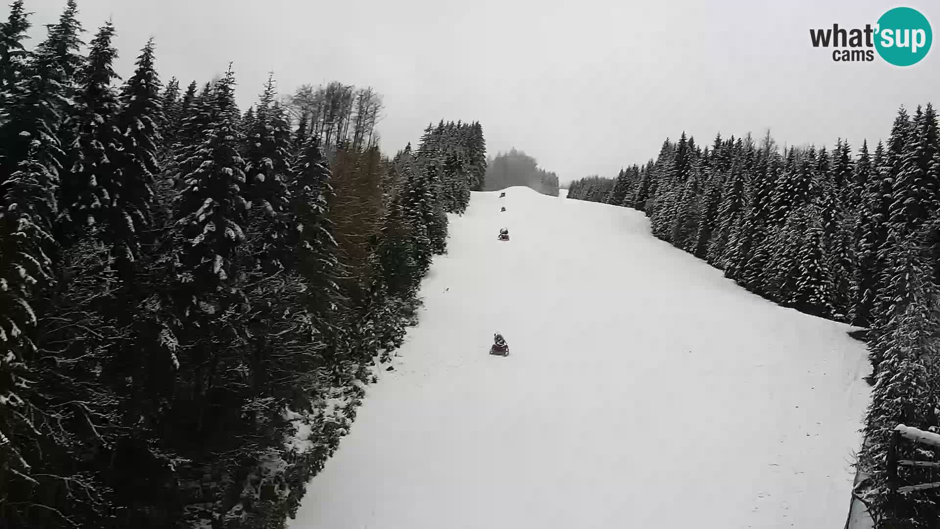 Webcam Rogla Wohnungen Dandi – Jurgovo