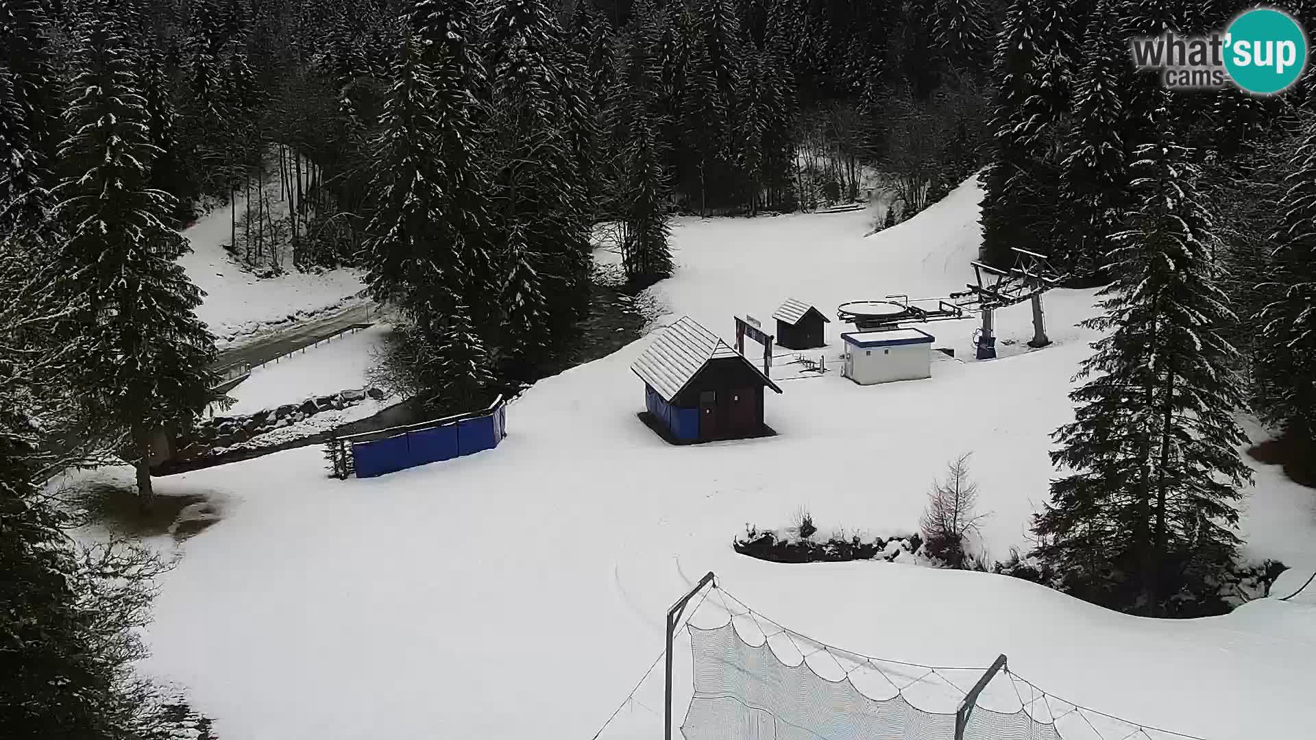 Live Rogla appartements Dandi – Jurgovo