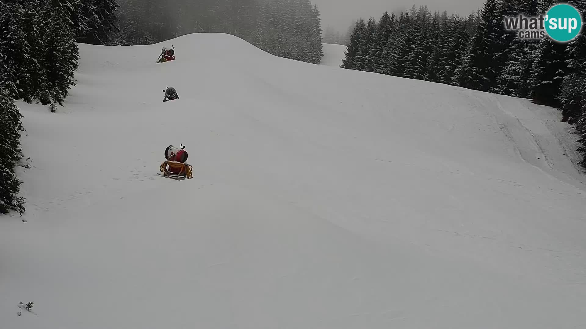 Live Rogla appartements Dandi – Jurgovo