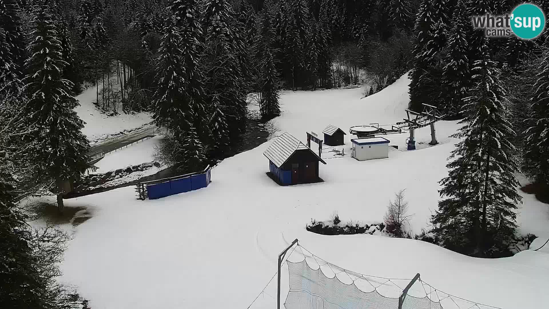 Live Rogla appartements Dandi – Jurgovo