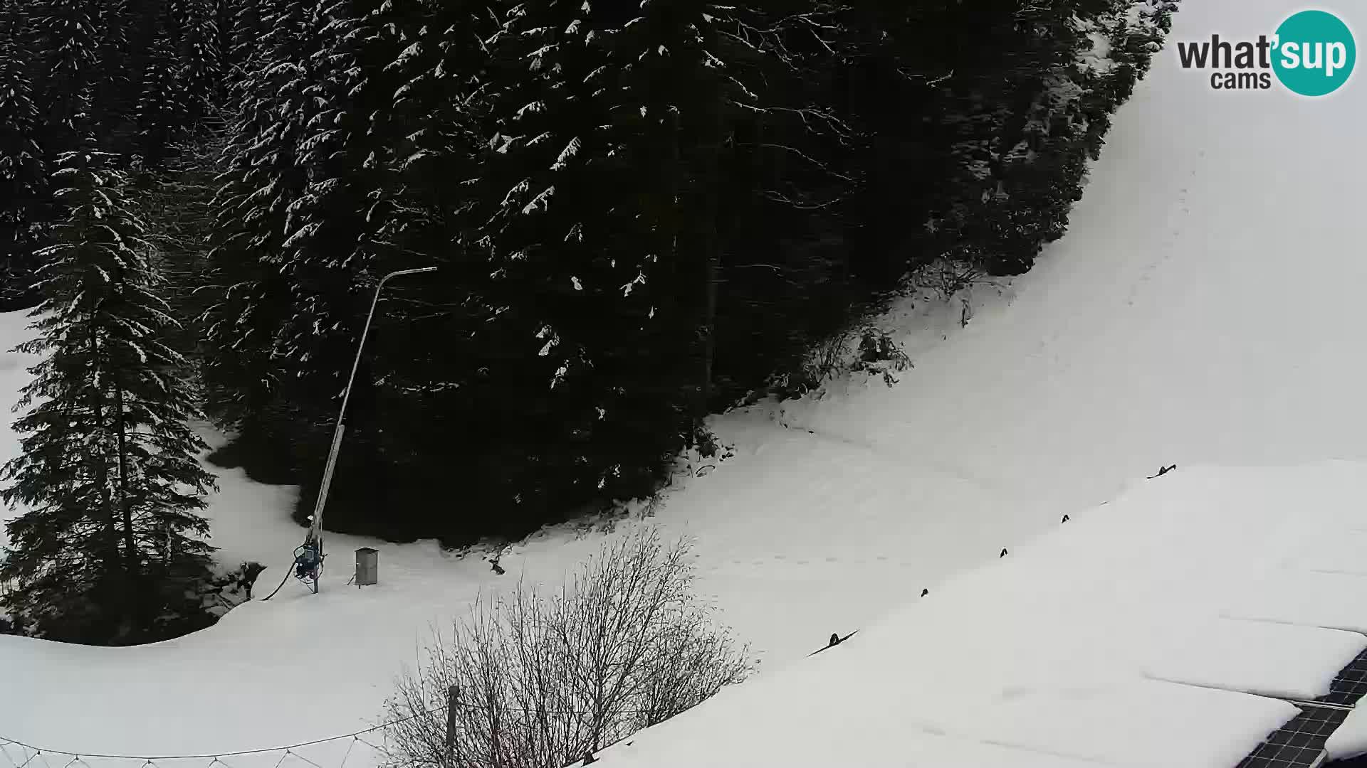 Webcam Rogla Wohnungen Dandi – Jurgovo