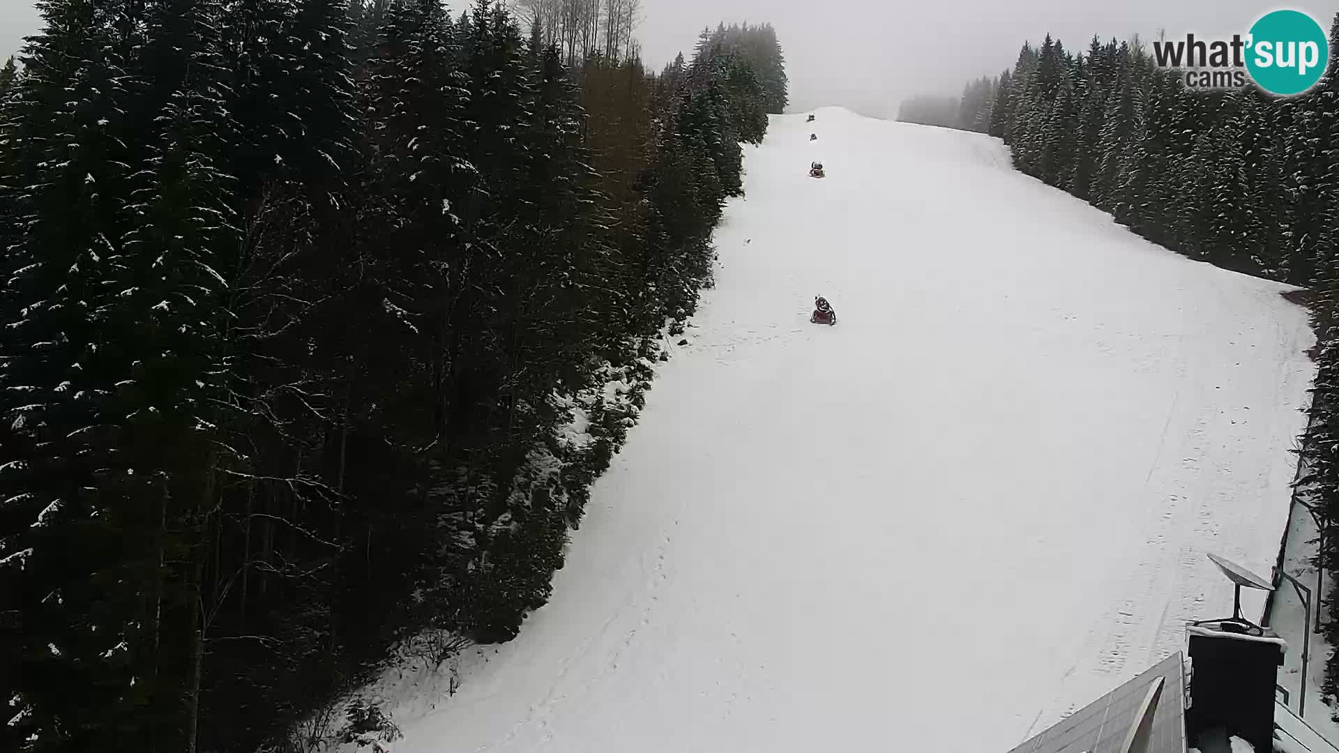 Camera en vivo Rogla appartamentos Dandi – Jurgovo