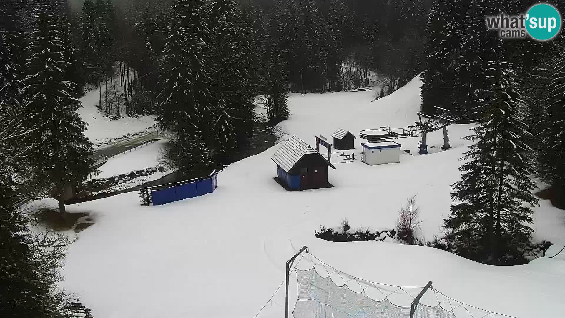 Webcam Rogla Wohnungen Dandi – Jurgovo