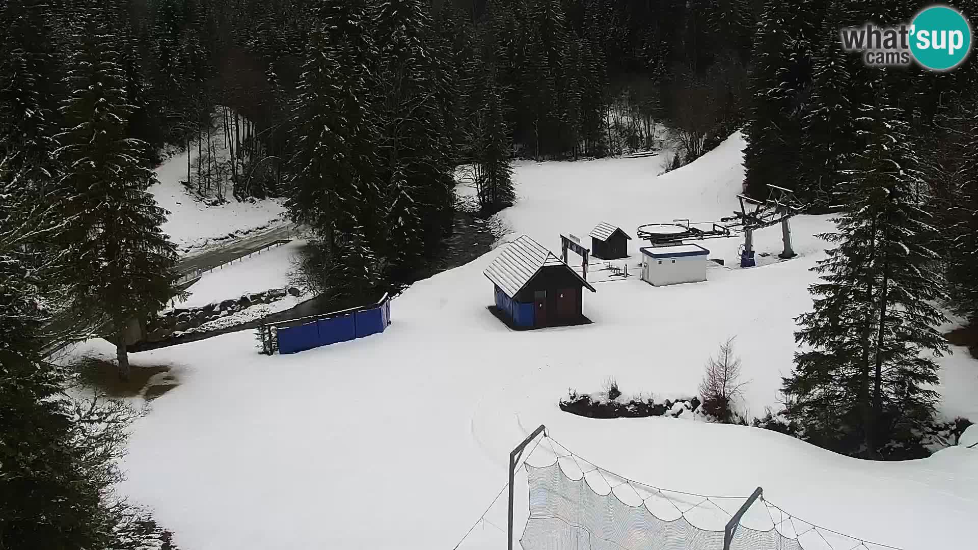 Webcam Rogla Wohnungen Dandi – Jurgovo