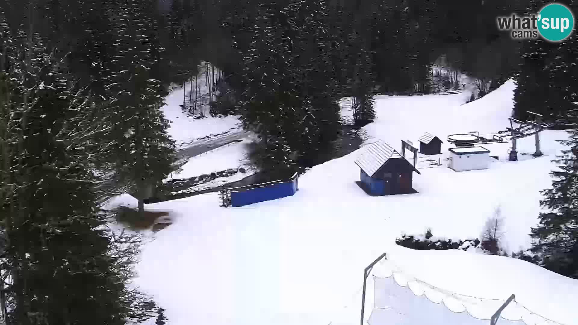 Web kamera Rogla apartmani Dandi – Jurgovo