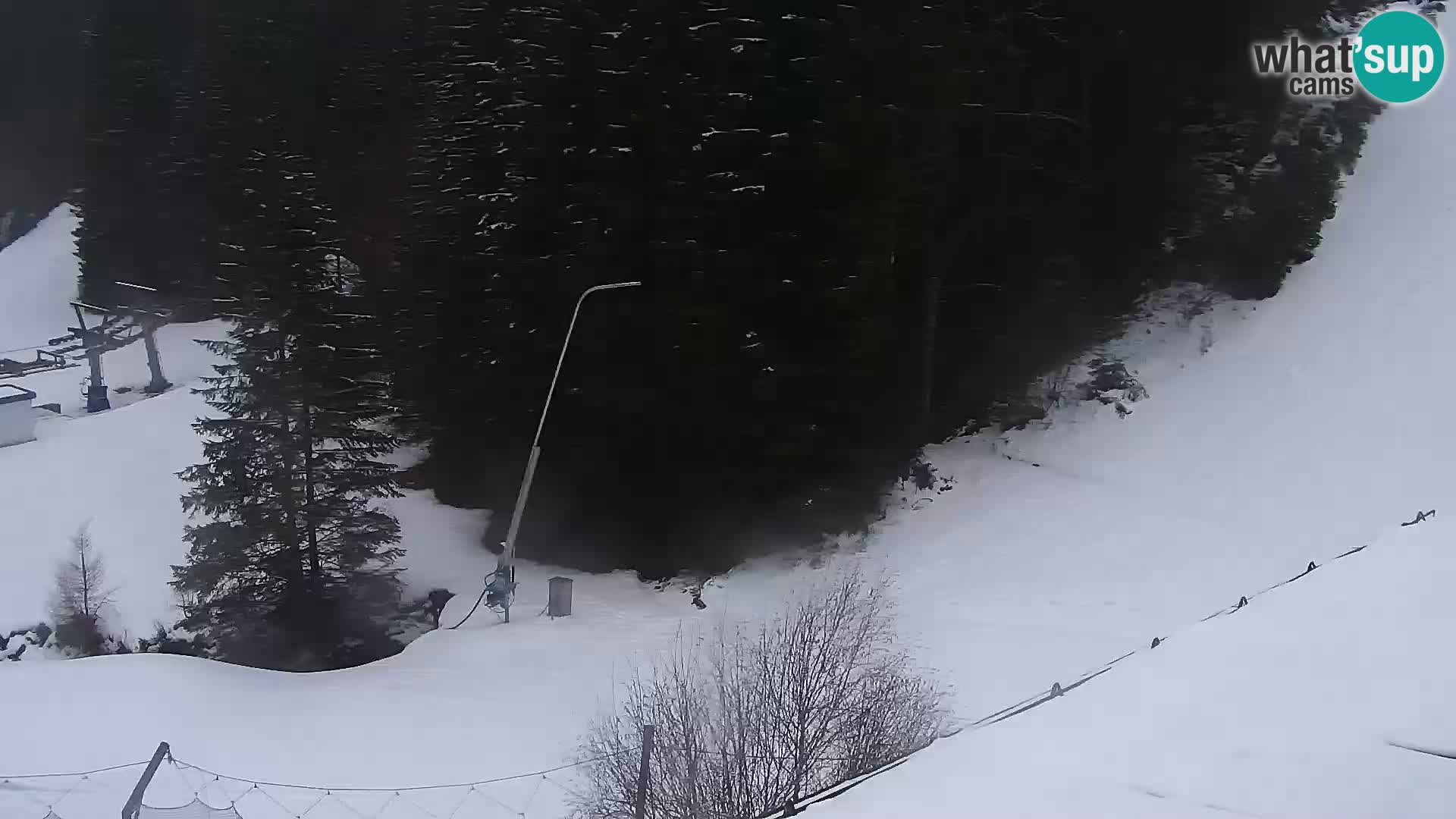 Livecam Rogla apartments Dandi – Jurgovo