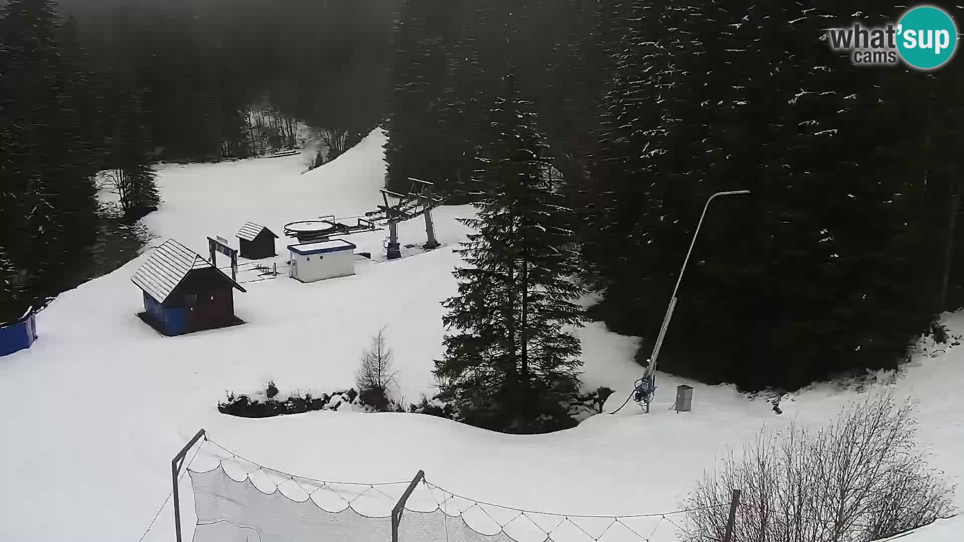 Web kamera Rogla apartmani Dandi – Jurgovo