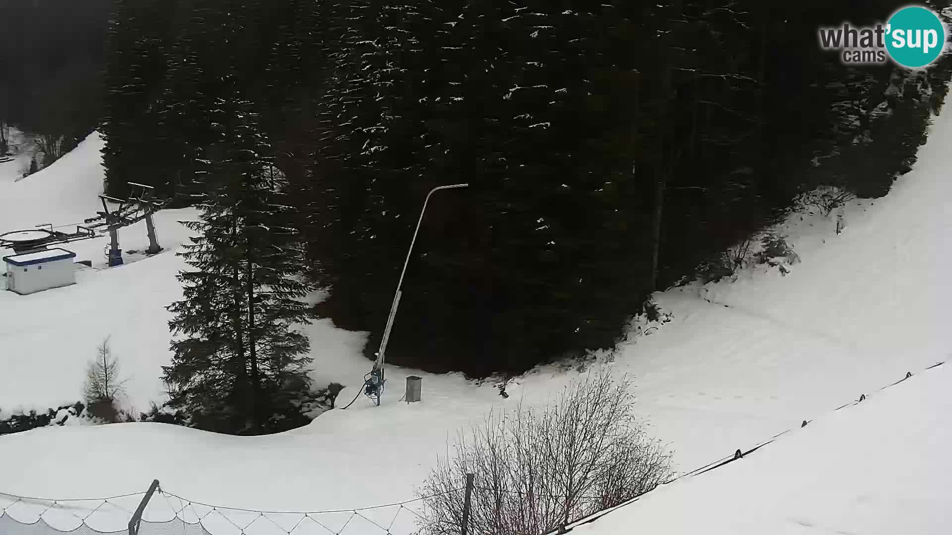 Live Rogla appartements Dandi – Jurgovo