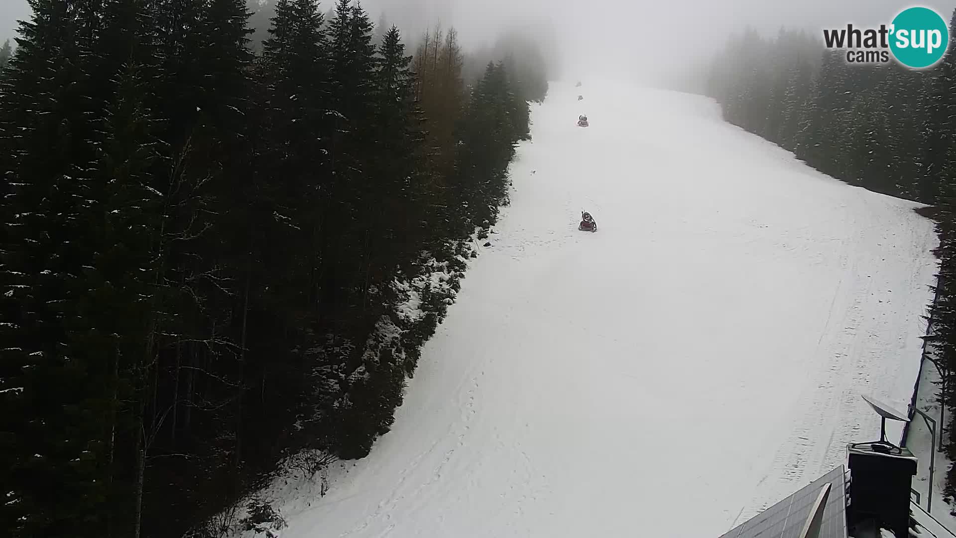 Webcam Rogla Wohnungen Dandi – Jurgovo