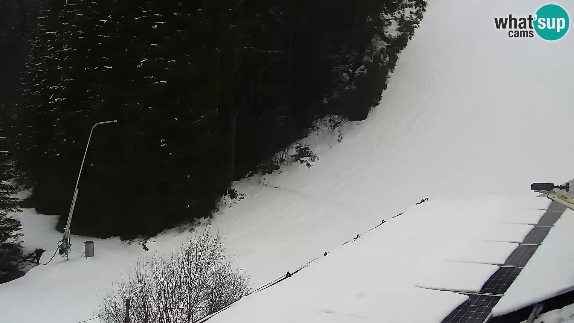 Webcam Rogla Wohnungen Dandi – Jurgovo