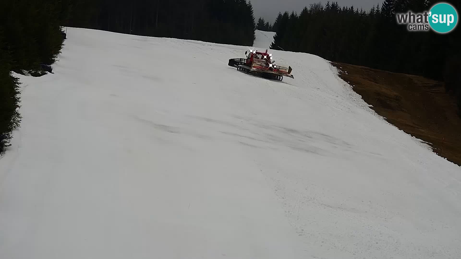 Spletna kamera Rogla apartmaji Dandi – Jurgovo